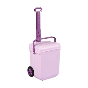 Purple Wheelie School Bag - Buzz Kids